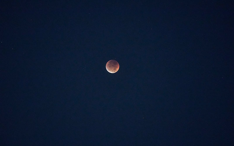 Lunar Eclipse Night